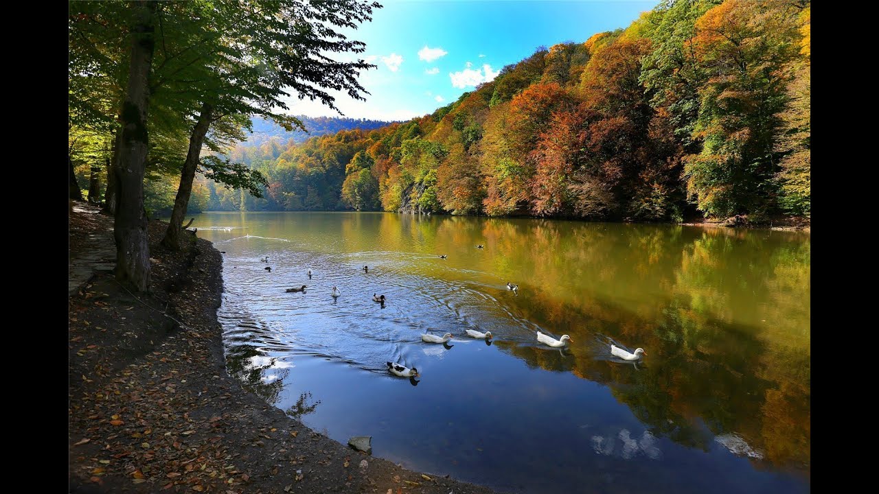 Dilijan National Park